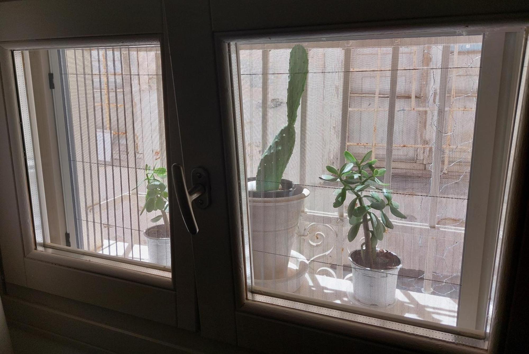 41 Homer Street דירה ארמופוליס